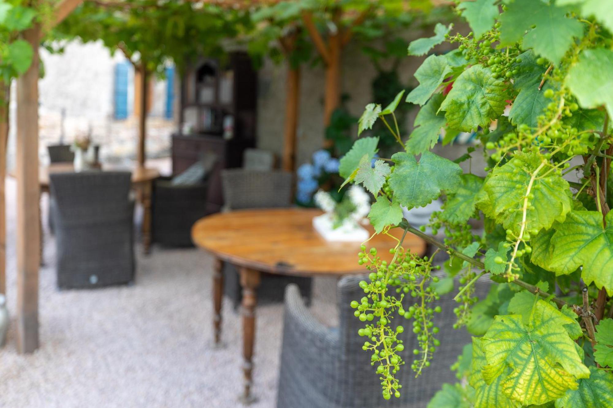 Bed and Breakfast Domaine La Pomme De Pin Louroux-de-Beaune Exteriér fotografie
